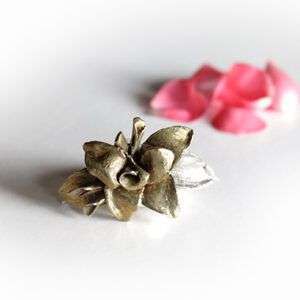 Anillo único