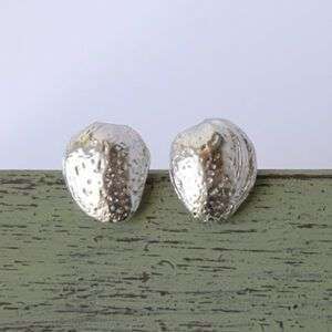 Pendientes de plata